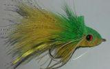 Green & Yellow Diving Bass