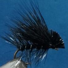 Black Elk Caddis