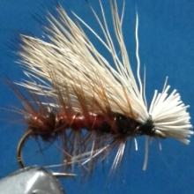 Royal Elk Caddis