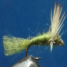 Sparkle Dun Olive