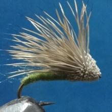 Streaking Caddis Olive