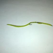 San Juan worm (chartreuse)