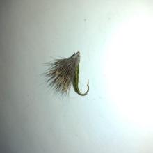 Streaking Caddis