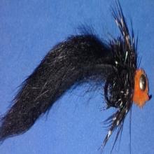 Fat Cat Leech Black