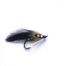 Feather-wing Salmon