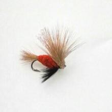 Steel-head river mouse orange