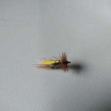 Yellow Hopper