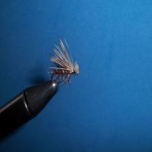 Elk Hair Caddis