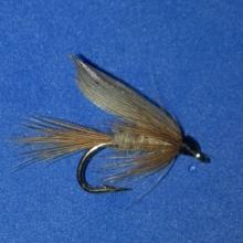 GRHE Wet Fly