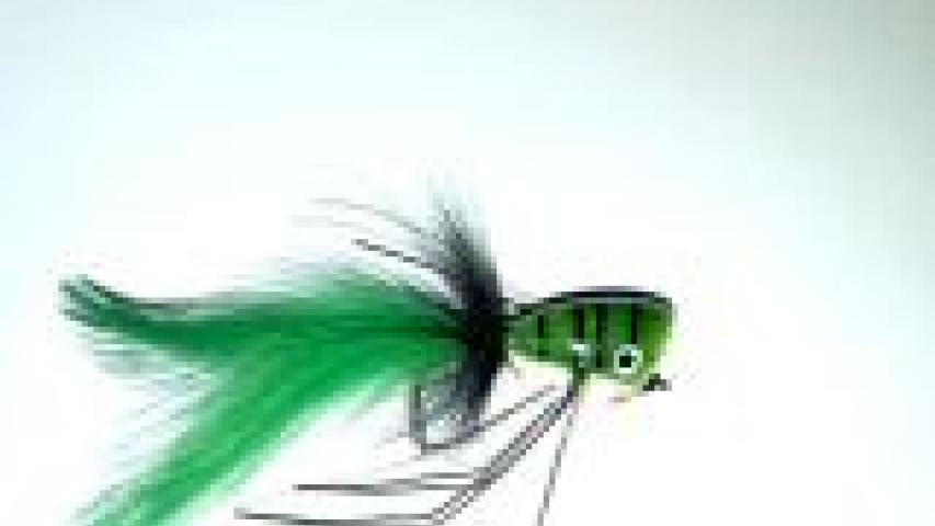 Black Stripes Green Popper