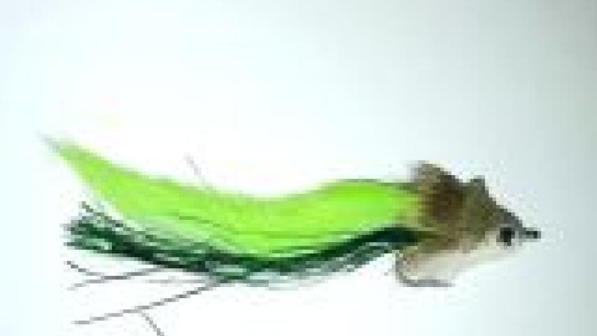 Bunny Diver Olive Chartreuse Tail