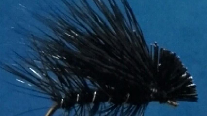 Black Elk Caddis