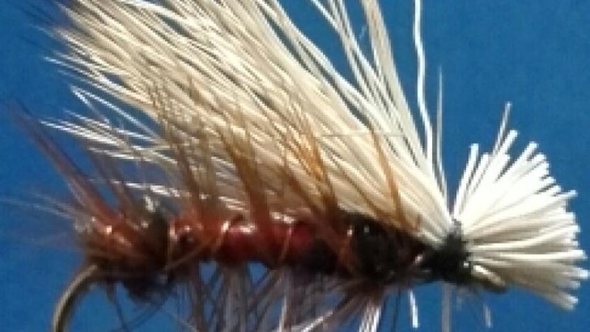 Royal Elk Caddis