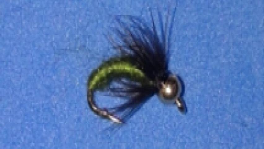 Caddis Pupa