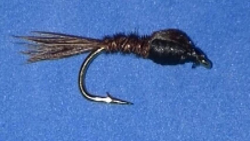 Sawyer Pheasant Tail Black