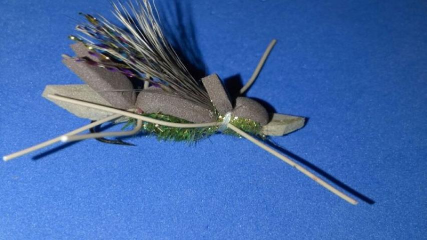 Stonefly 001