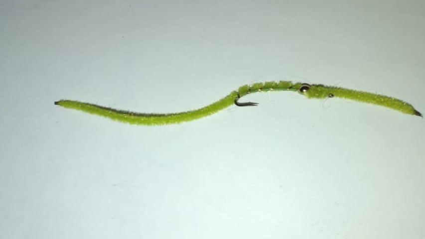 San Juan worm (chartreuse)