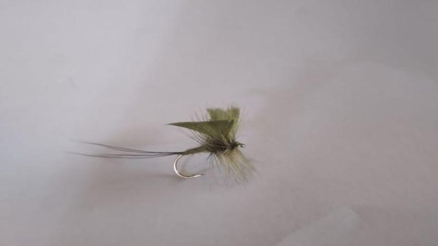 Spent May Fly (olive)