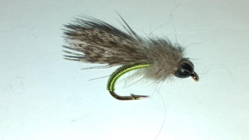 Tungsten BH Caddis emerged (chartreuse)