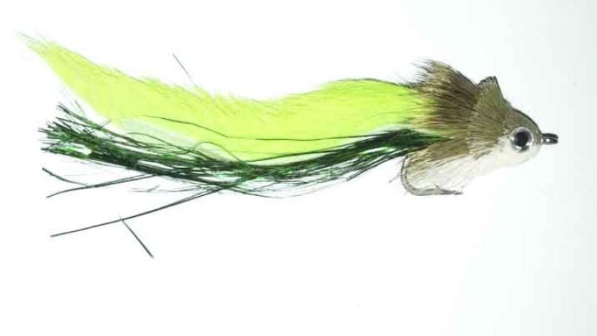 Green Black Pike Fly