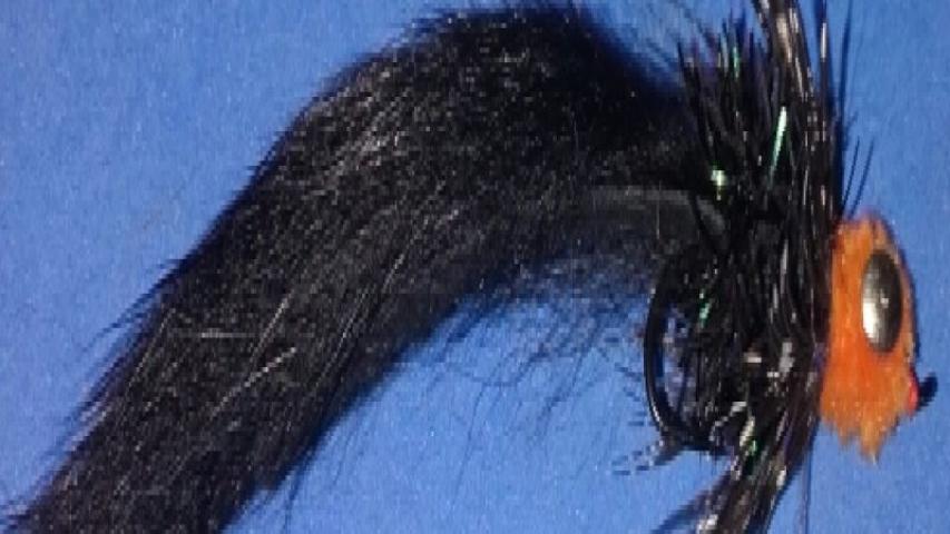 Fat Cat Leech Black