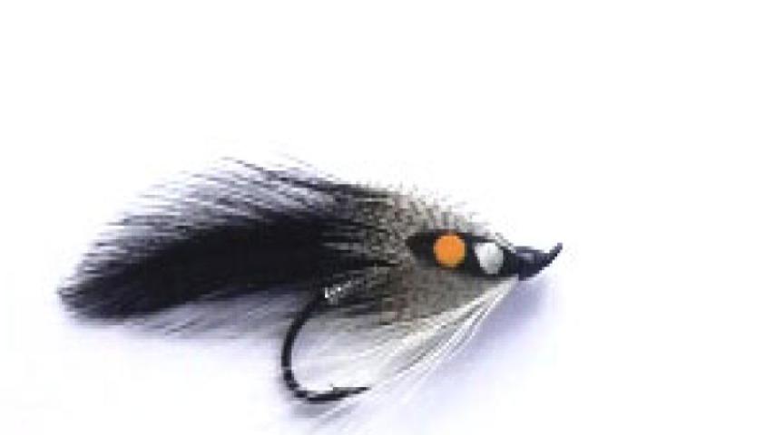 Feather-wing Salmon