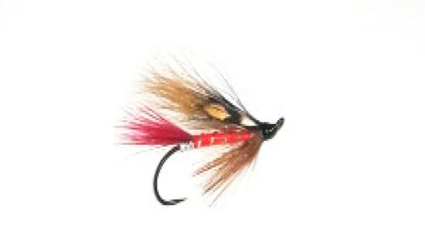 Rred Abby salmon fly