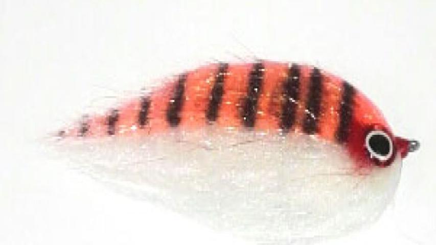 Baitfish orange-white