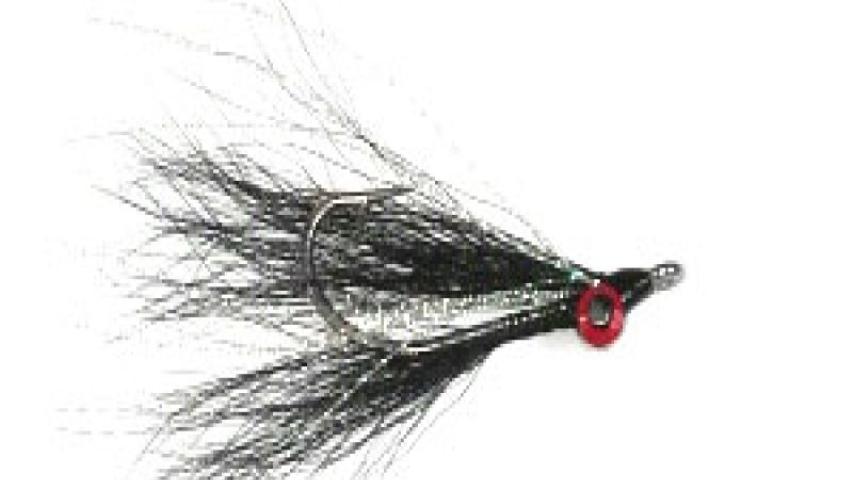 Deep cloister minnow -black