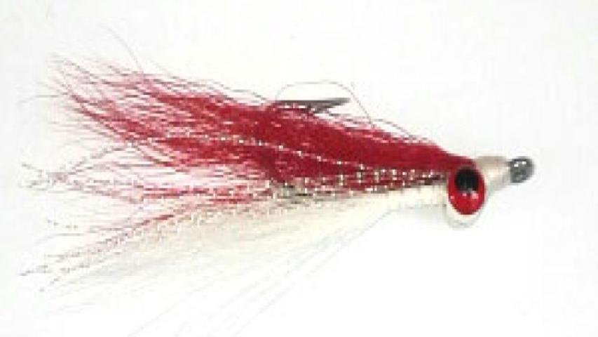 Deep cloister minnow red-white