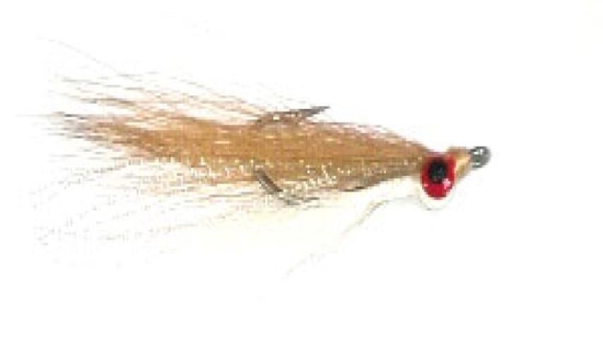 Deep cloister minnow tan-white