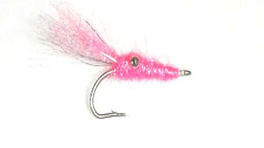 Flash tail squid-pink