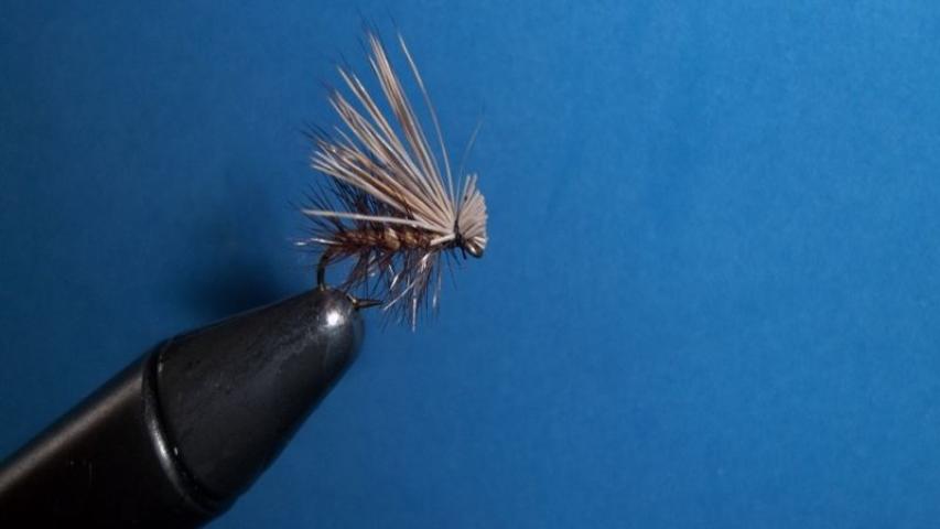 Elk Hair Caddis