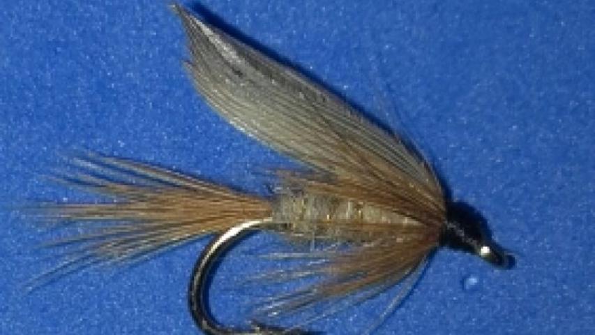 GRHE Wet Fly